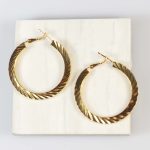 EARRINGS SPRIG HOOPS