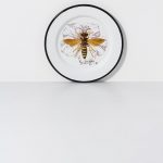 Plato llano Enamel Natura mediano crema Ø20 cm