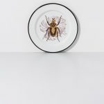 Plato llano enamel Natura mediano blanco Ø20 cm